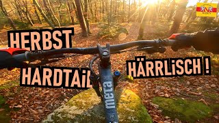 SCHWARZWALD NORD mit Hardtail: Herbstliches...