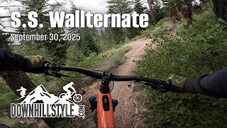 S.S. Wallternate - Painted Rock -...