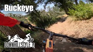 Buckeye - Skyline Wilderness Park, Napa, CA -...