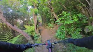 25-12-20 Bull Run, Belmont, Mountain Bike Trail