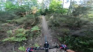 Downhill in CALABRIA 1 ITALY 1