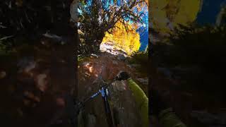 Rock Gardens reveal the true disciples #mtb...