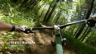 Alder Creek Sampler (Word to your Mother, As...