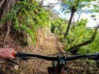 Supa Kanuka(NEW!!)@ Makara Peak, Wellington