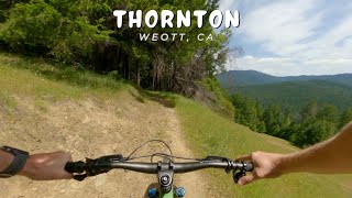 Thornton / Weott, CA / MTB