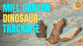Mill Canyon Dinosaur Tracksite | Moab’s...