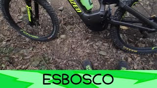 Esbosco 15/11/2025