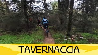 Tavernaccia 22/11/2025