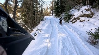 Neve da Borniga alla Bassa di Sanson