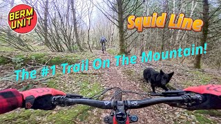 Year Of The Squid - Squid Line - Sumas Mtn. -...