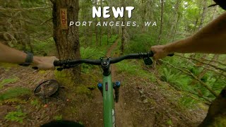 Newt / Port Angeles, WA / MTB
