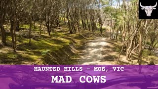 Haunted Hills Bike Park - Mad Cows