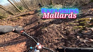 Exploring Mallards.. New Trails.. New Off's...