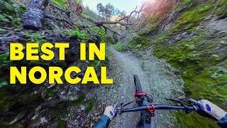 I rode the Best Blue Trail in NorCal! (Toro...