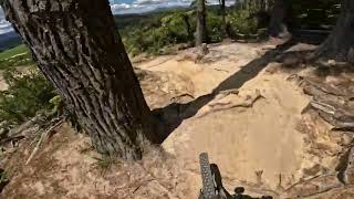 Eagle vs Shark @ Whakarewarewa Forest. Rotorua