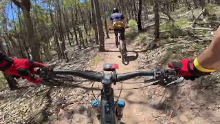 Omeo - Muster