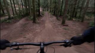 A Session on Flying Squirrel at Duthie Hill