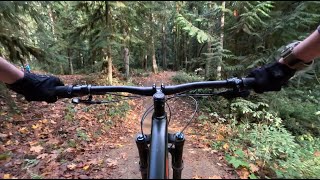 Great Space Coaster at Duthie Hill
