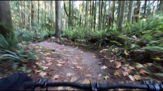 Bootcamp Downhill Section