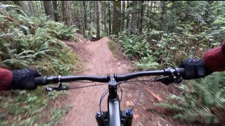 3 Runs on Rehab at Duthie Hill