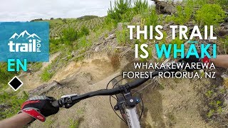 Technical or flow trail? It's Whaki || Redwood...