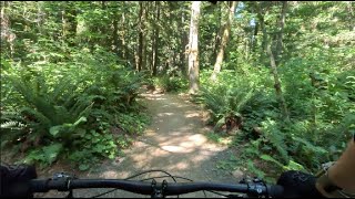 Duthie Hill - Intro