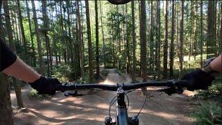 A Session on Flying Squirrel