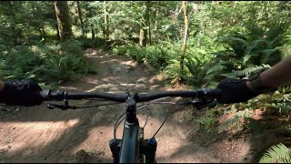 Duthie Hill - Braveheart