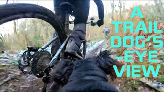 HOW TO RIDE WITH A TRAIL DOG, THE ULTIMATE...
