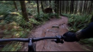 Tiger Mountain - Connector Trail - Full Run