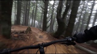 East Tiger Summit - Full Run