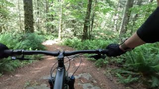Duthie Hill - Braveheart - Full Run