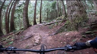 Tiger Mountain State Forest - Master Link -...