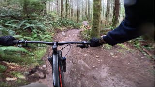 Tiger Mountain State Forest - Connector Trail...