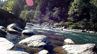 Relaxing Footage of the Snoqualmie River