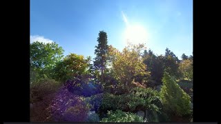 Bellevue Botanical Garden Photo Compilation 001