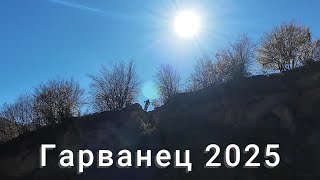 Гарванец 2025 ден втори
