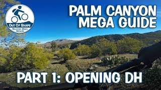 Palm Canyon Epic Mega Guide | Part 1: Opening DH