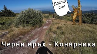 Добър ден, здравейте и...