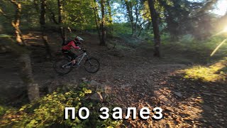 шиене по залез,...