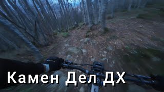 Камен Дел DH, къде беше 