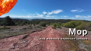 Мор под жаркото априлско...