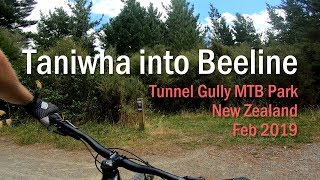 MTB Trail Taniwha into Bee Line - Tunnel Gully...