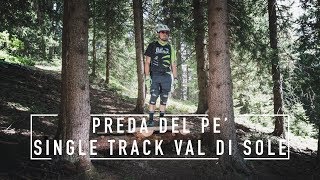 Preda del Pè - single track Val di Sole