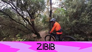 Zibib 22/11/2025