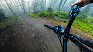Ambient MTB POV | You Lose the Forest At This...