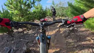 Majura Pines - Bogs & Logs