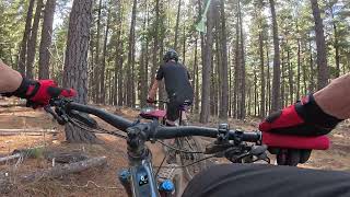 Majura Pines - Lincoln into Telemark &...
