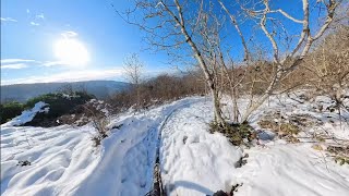 I' Lupo Grigio - Monte Morello