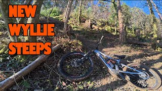 AMFLOW PL SOLO RIDE - NEW STEEPS AT WYLLIE -...